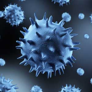 Covid virus